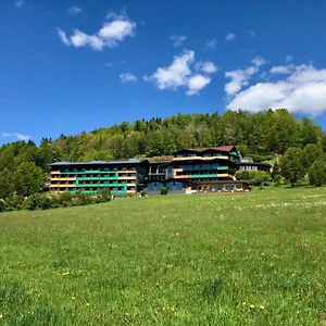 Natura Hotel Bodenmais - Inkl Soft- Und Heissgetraenkeflat